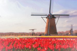 佐倉市ふるさと納税